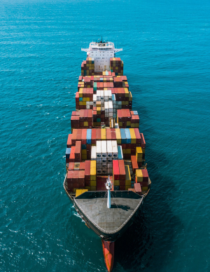 Hikes and Setbacks in Sea Freight Costs